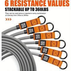 Banda de Resistencia CoreForge™ con Asas – Entrenamiento Completo para Fuerza y Tonificación