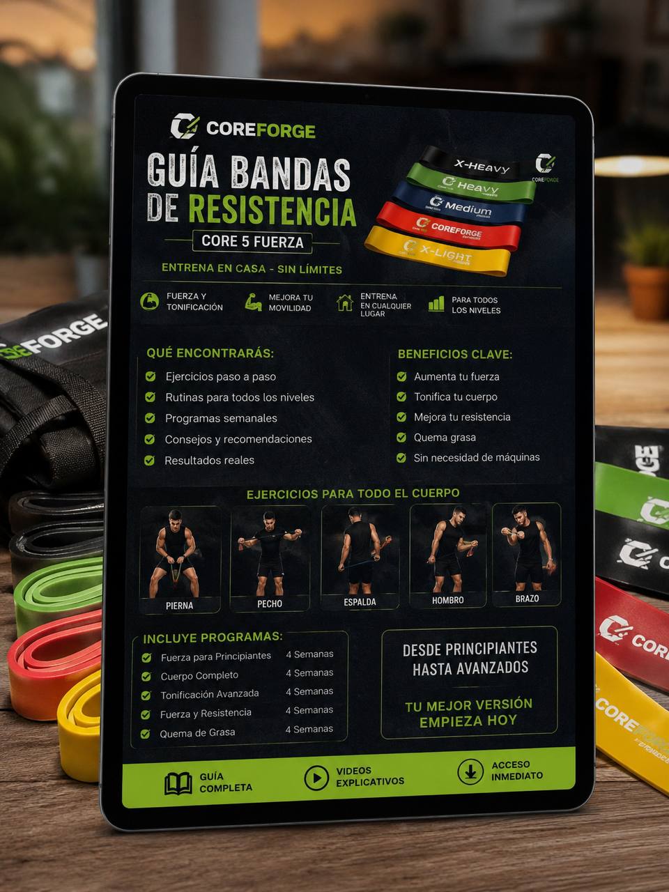 Guía Bandas de Resistencia CoreForge — Entrena en Casa